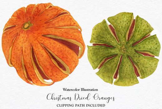 Christmas Dried Oranges, watercolor with clipping path