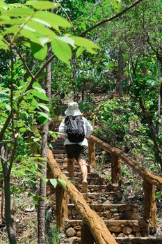 Rear view of young woman in a hat with a backpack walks up the natural stone steps and enjoys nature in the tropical forest. Travel and lifestyle concept