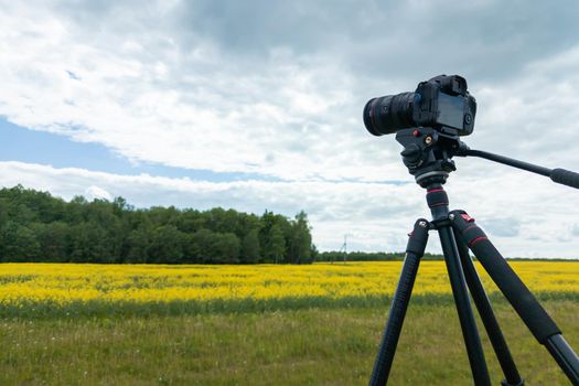 modern professional mirrorless camera on tripod shooting yellow field on tripod, closeup with selective focus
