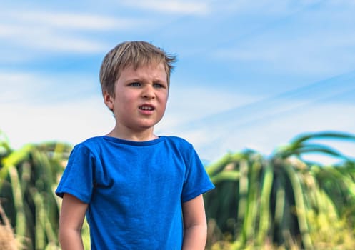 Blond boy looking far away distance blue sky background, furrowed eyebrows, indignation anger worry face expressions lifestyle. Summer day time nature wallpaper. Psychological feelings immunity.