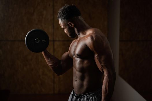 Attractive african american man doing biceps exercise with dumbbells