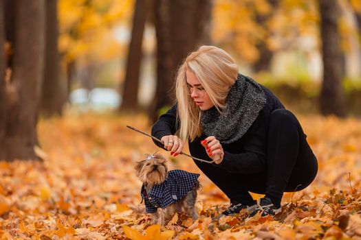 girl with her yorkshire terrier dog in the park