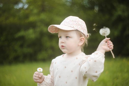 Little girl in a field of flowers, blowing the fluffy seeds off a dandelion seedhead clock.