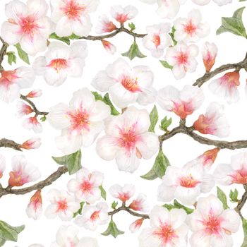 Watercolor illustration seamless pattern Spring Almond Garden