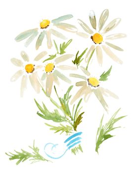 Watercolor illustration. Bouquet of chamomiles with a blue ribbon. Path included