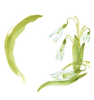 Hand-Drawing watercolor snowdrop flowers. Easter design and card template