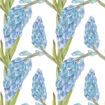 Modern watercolor botanical illustration in Old School style. Blue hyacinth. Seamless patterns, path included