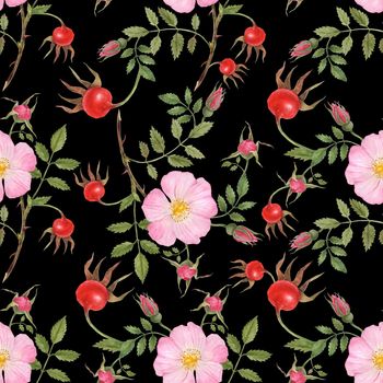 Watercolor illustration Wild Rose (Cinnamon Rose) flower, fruit and buds on a branch. Seamless pattern, black background