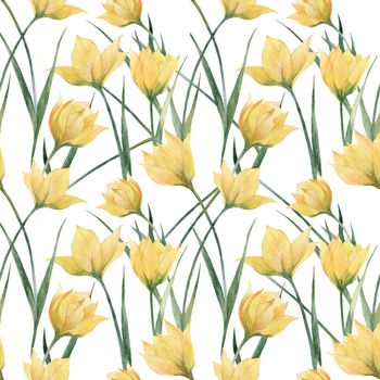 Watercolor seamless pattern Yellow Woodland Tulip flowers and leaves on a white background