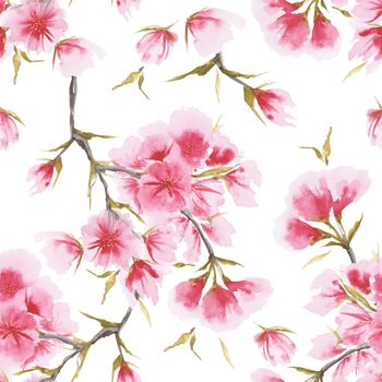 Watercolor cherry blossom in asian one-stroke painting style. Seamless pattern on a white background, path included