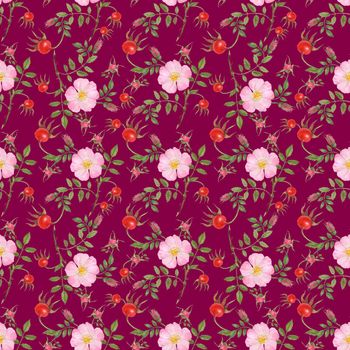 Watercolor seamless pattern Wild Rose (Cinnamon Rose) pink flowers and buds