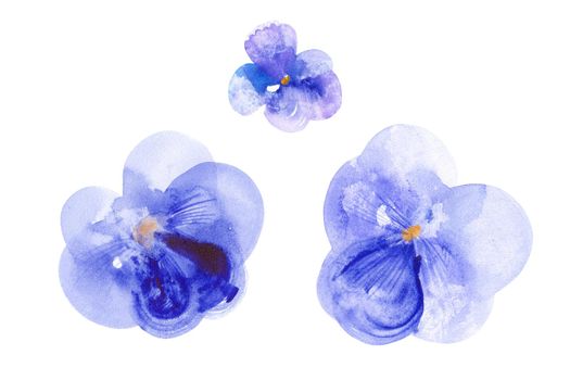 Pansy the Symbol of Freethought. Three watercolor violet flowers, isolated, path included