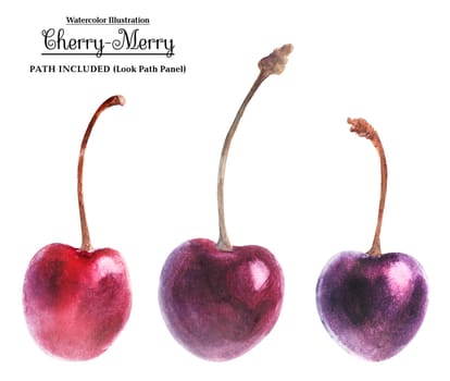 Watercolor illustration. Three dark cherries. Isolated, path included