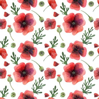 Decorative watercolor illustration. Wild Poppy. Seamless pattern with path