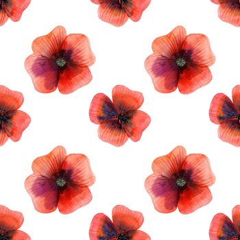 Decorative watercolor illustration. Red poppy flowers. Seamless pattern with included path