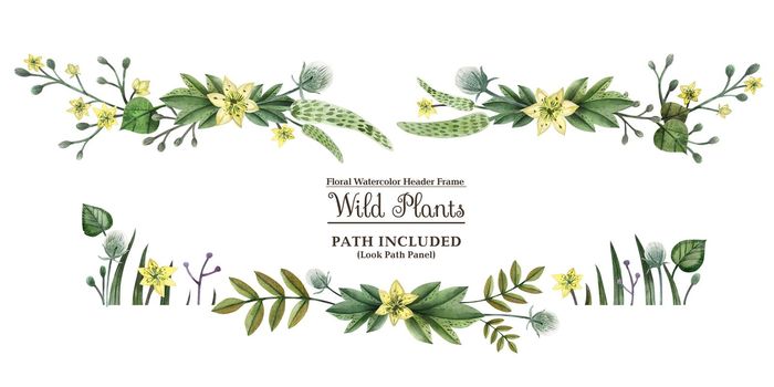 Wild Plants hand painted watercolor headline banner. Flowers and , branches and leaves on a white background. Isolated, path included.