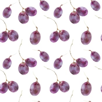 Modern watercolor botanical illustration. Pinot noir-grigio grape berries. Seamless pattern, white backdrop, path included