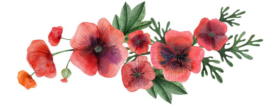 Wild Poppies hand painted watercolor headline or ending vingettes. Flowers and branches and leaves on a white background. Isolated, path included.