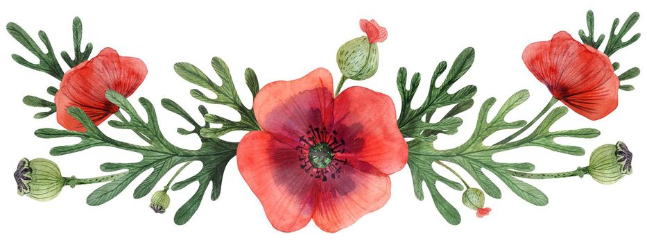 Wild Poppies hand painted watercolor headline or ending vingettes. Flowers and branches and leaves on a white background. Isolated, path included.