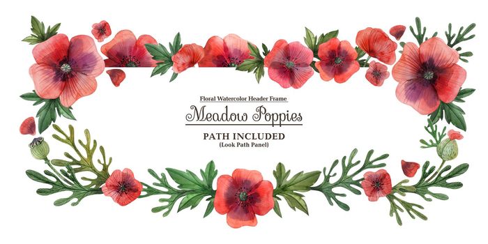Watercolor hand painted Watercolor hand painted header frame Meadow Poppies. Flowers and leaves on a white background. Isolated, path included.