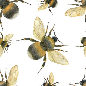 Watercolor seamless pattern with fat fluffy bumblebee. Realistic style, white background, path included