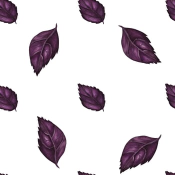 Vegan watercolor seamless pattern with purple basil leaves. White background, isolated, clipping path included