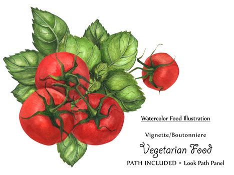 Watercolor vegan vignette biutonniere by freshness green basil leaves and tomato. Isolated, clipping path included, vegan design