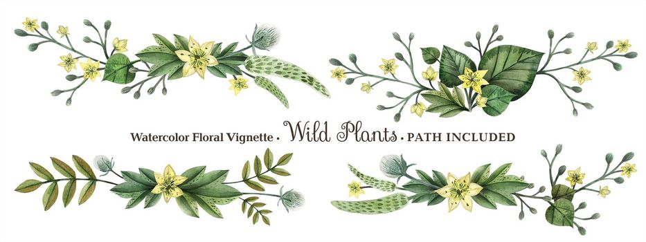 Wild Plants hand painted watercolor headline or ending vingettes. Flowers and branches and leaves on a white background. Isolated, path included.