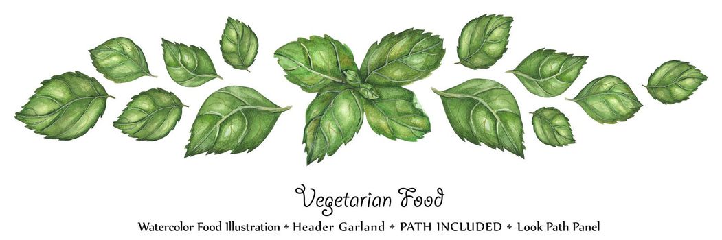 Watercolor vegan headline garland by freshness green basil leaves. Isolated, clipping path included, vegan design