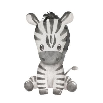 Cute portraits zebra in cartoon style. Drawing african baby wild animal isolated on white background. Jungle animal is sitting
