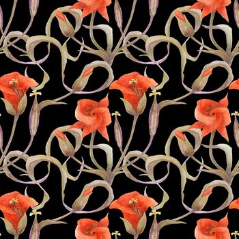 Desert Mariposa Lily black pattern. Flowers, buds and fruit on a black background