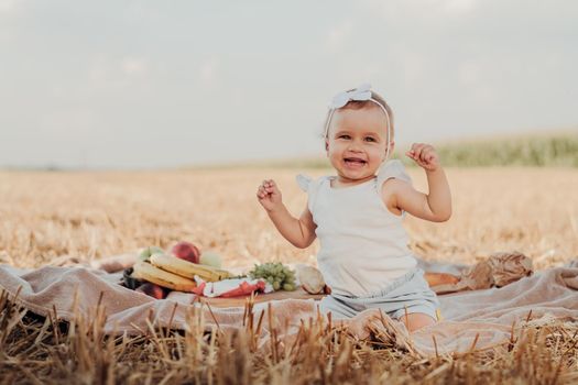 Portrait of Happy Little Caucasian Girl Having Fun During Family Picnic Outdoors in Field