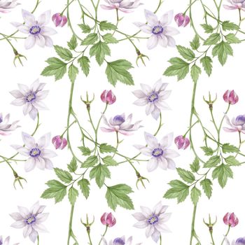 Anemonopsis branch, watercolor seamless pattern