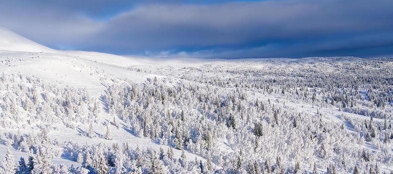 Nordic winter landscape. Panoramic view of the covered with frost trees in the snowdrifts. Magical winter forest. Natural landscape with beautiful sky.