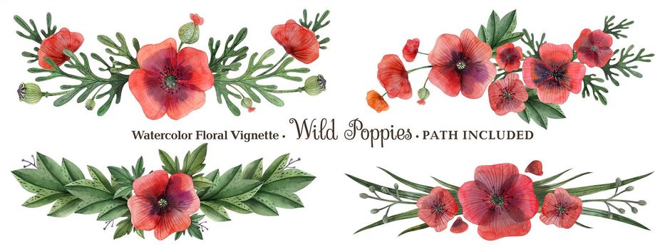 Wild Poppies hand painted watercolor headline or ending vingettes. Flowers and branches and leaves on a white background. Isolated, path included.
