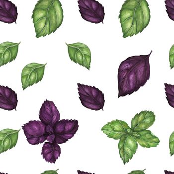 Vegan watercolor seamless pattern with purple and green basil leaves. White background, isolated, clipping path included