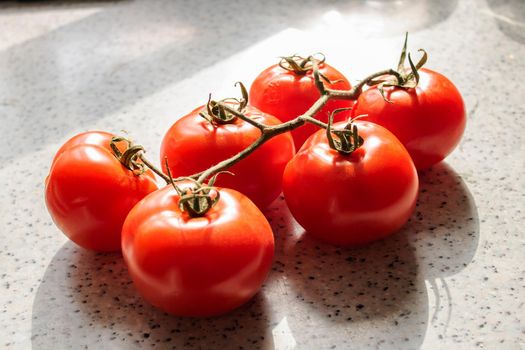 Branch with ripe red tomatoes on the table close up