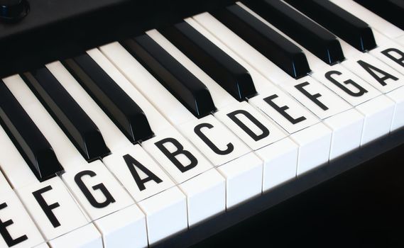 Piano keyboard keys with letters of notes of the scale superimposed as a music cheat sheet for a new learner