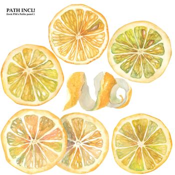 Botanical Watercolor Isolated Lemon Slices and Peel. Path included