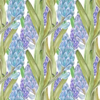 Watercolor seamless pattern with hyacinth on a white background