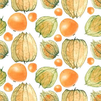 Botanical Watercolor Physalis Seamless Pattern. Flowers and berries