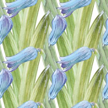 Watercolor seamless pattern with hyacinth buds on a white background