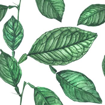 Watercolor Botanical Lemon Leaves Seamless Pattern
