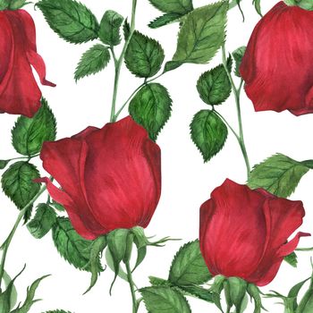 Botanical Watercolor Seamless Pattern Roses on white