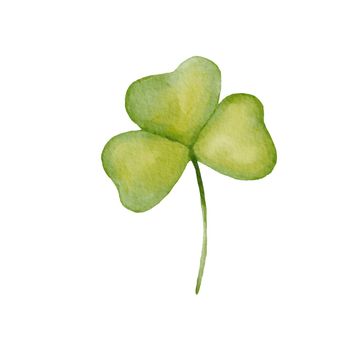 Watercolor green tree leaf clover isolated on white background. Drawing of plant
