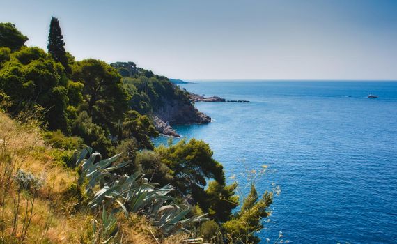 Cliff face with trees, plants and dried grass on a Mediterranean island with blue sea and sky