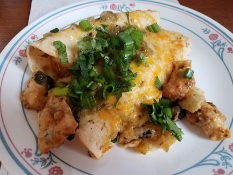 delicious chicken enchilada with cheese and cilantro on plate Mexican food