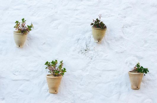 Traditional ceramic pot plants hanging on a white wall