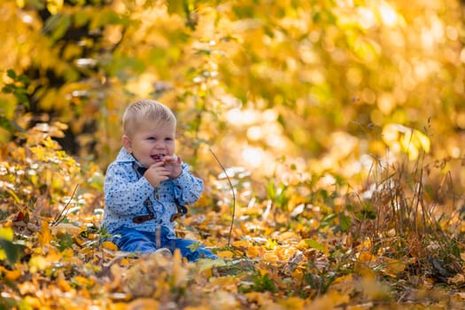 boy walking in the autumn forest