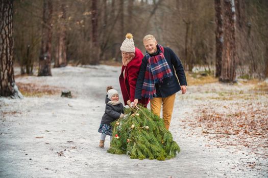 a family dragging a tree behind them in a winter park